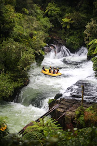 A group of happy adventurers navigating exciting whitewater rapids surrounded by lush forest.