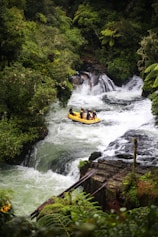 A group of people is navigating a rapid section of a river on a yellow inflatable raft surrounded by lush green vegetation and ferns. The water is white and turbulent as it flows over rocks and small waterfalls.