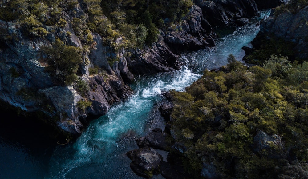 green moss on rocky mountain beside river during daytime