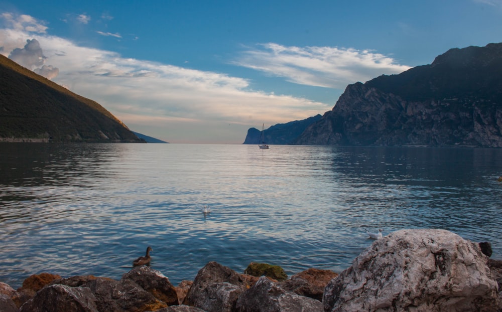 person standing on rock near body of water during daytime