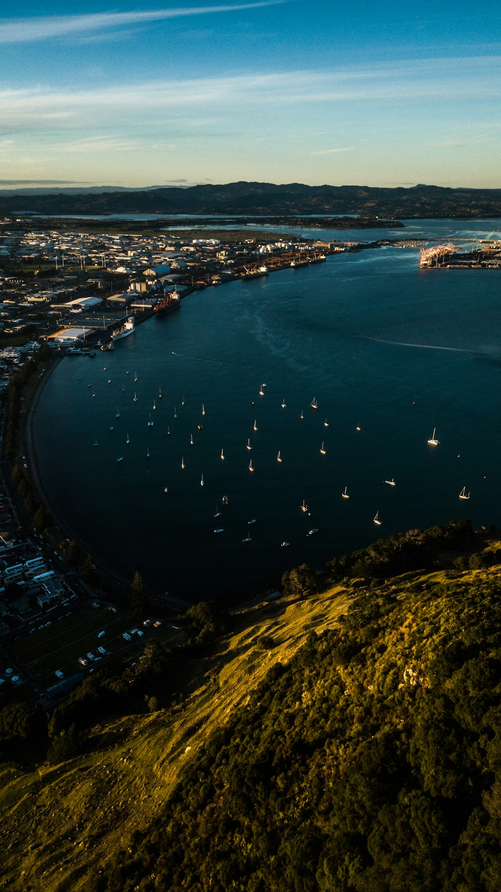 aerial view of city buildings near body of water during daytime