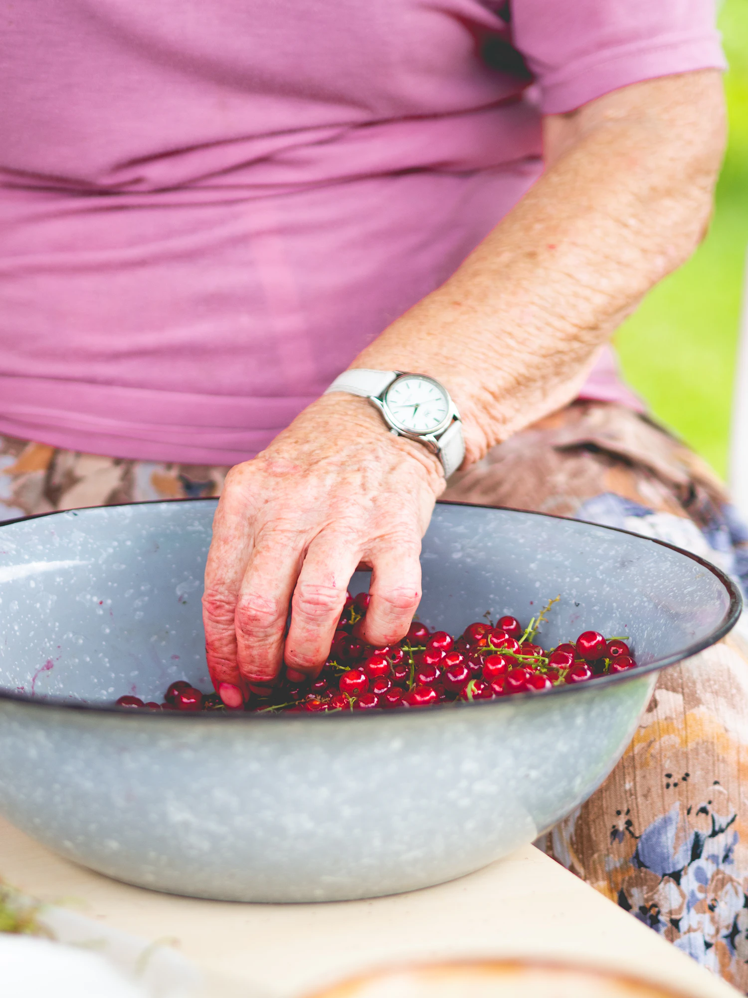 Hands stripping redcurrants into an enamel bowl
