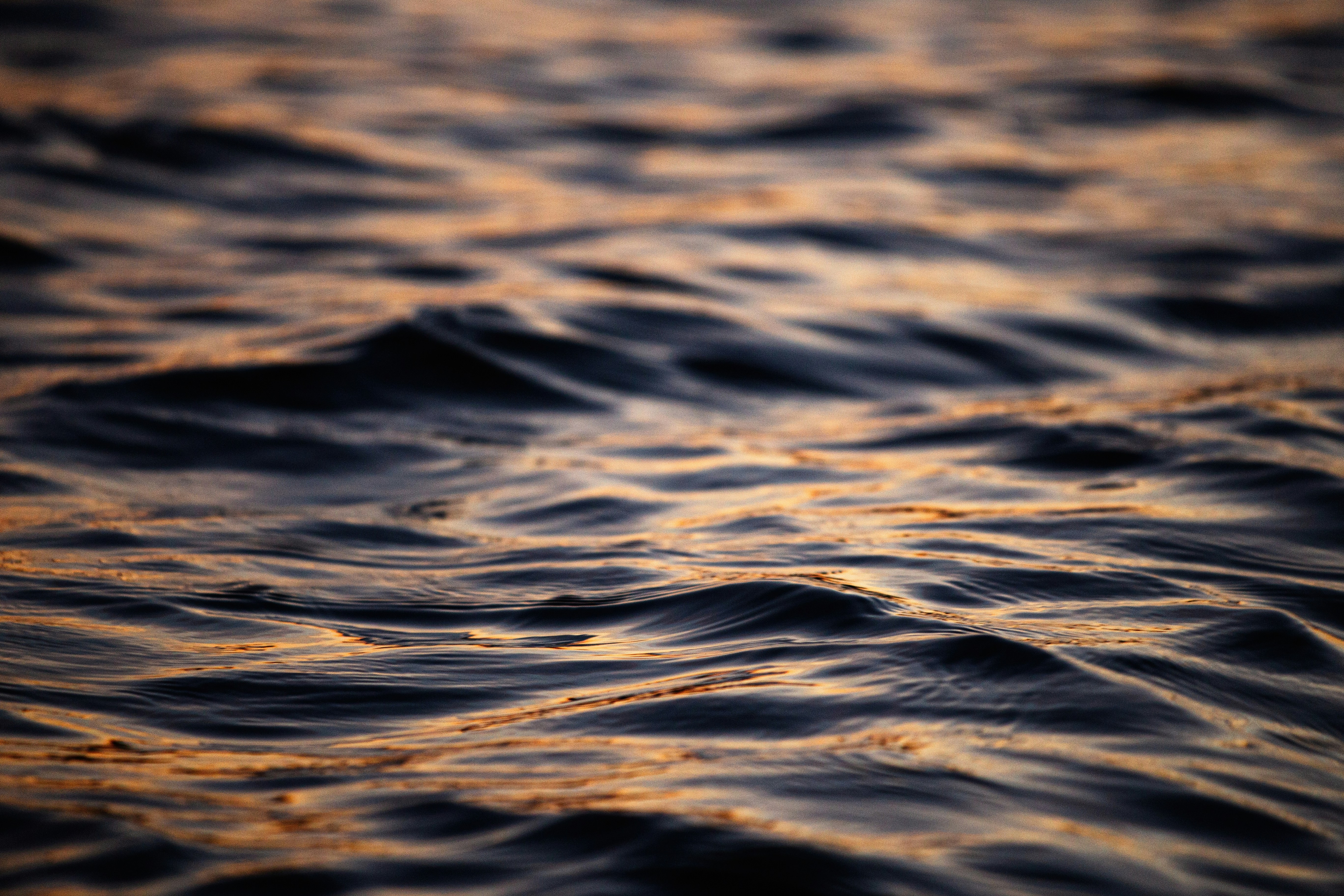 Photo by vinomamba24