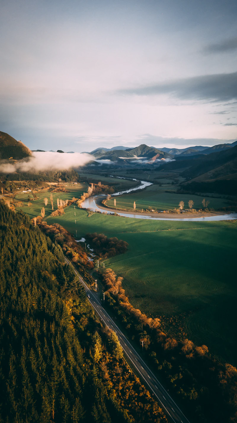 Maori Land Trust Development