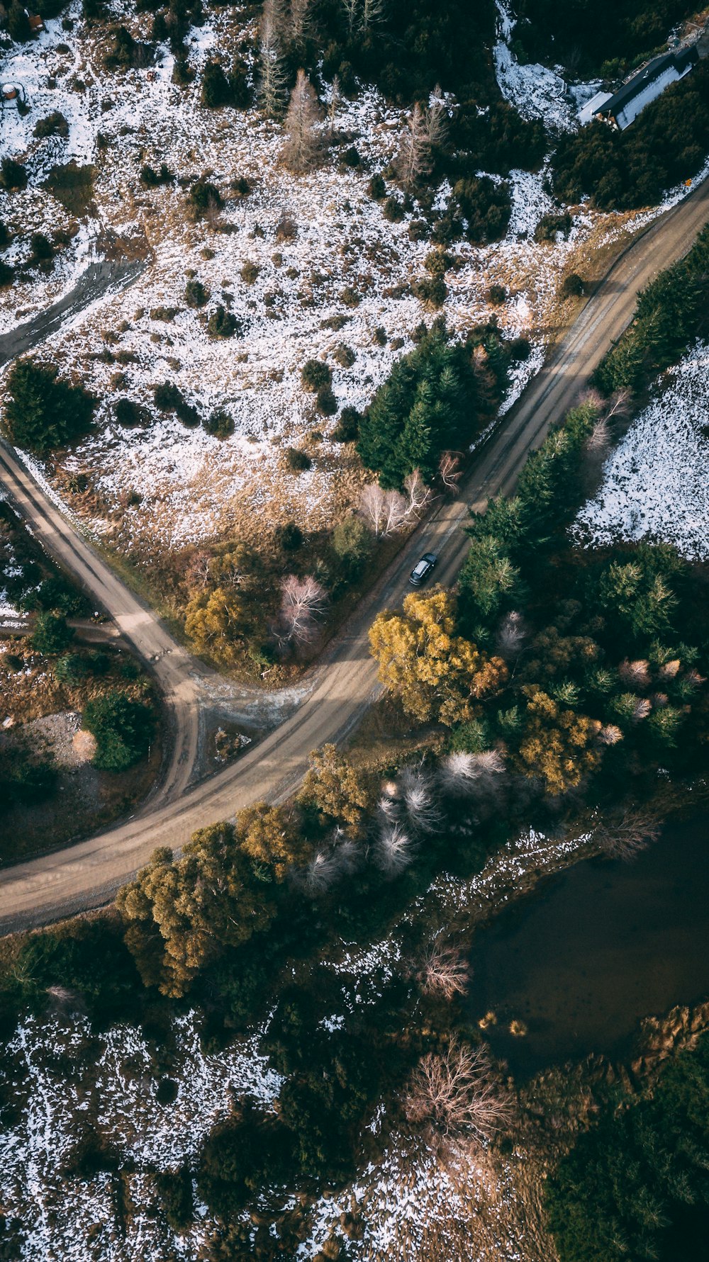 aerial view of road in the middle of trees