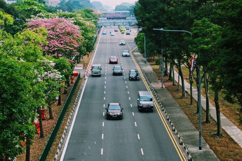 Coches en la carretera durante el día