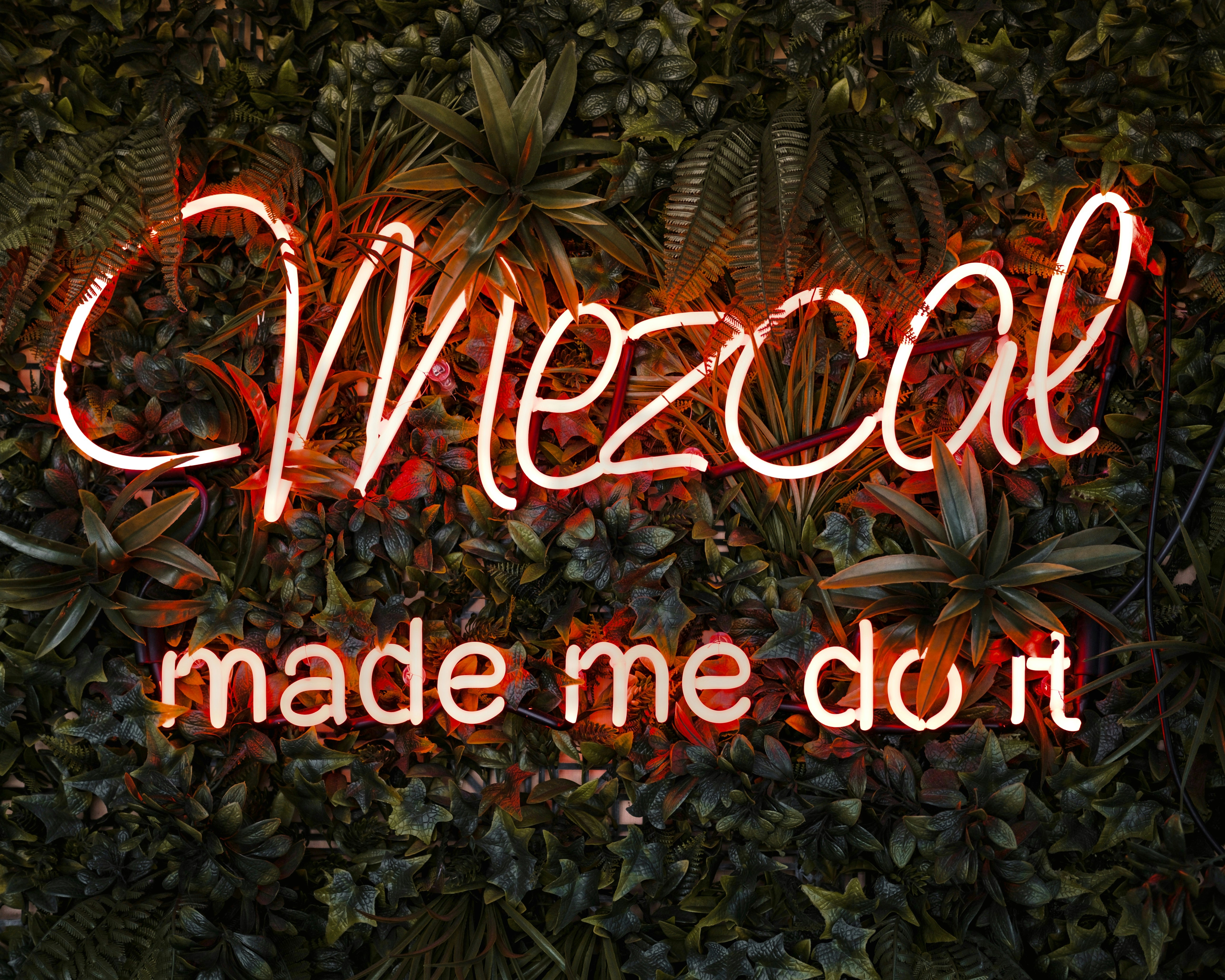 Mezcal Artesanal Casa Los Mezcales