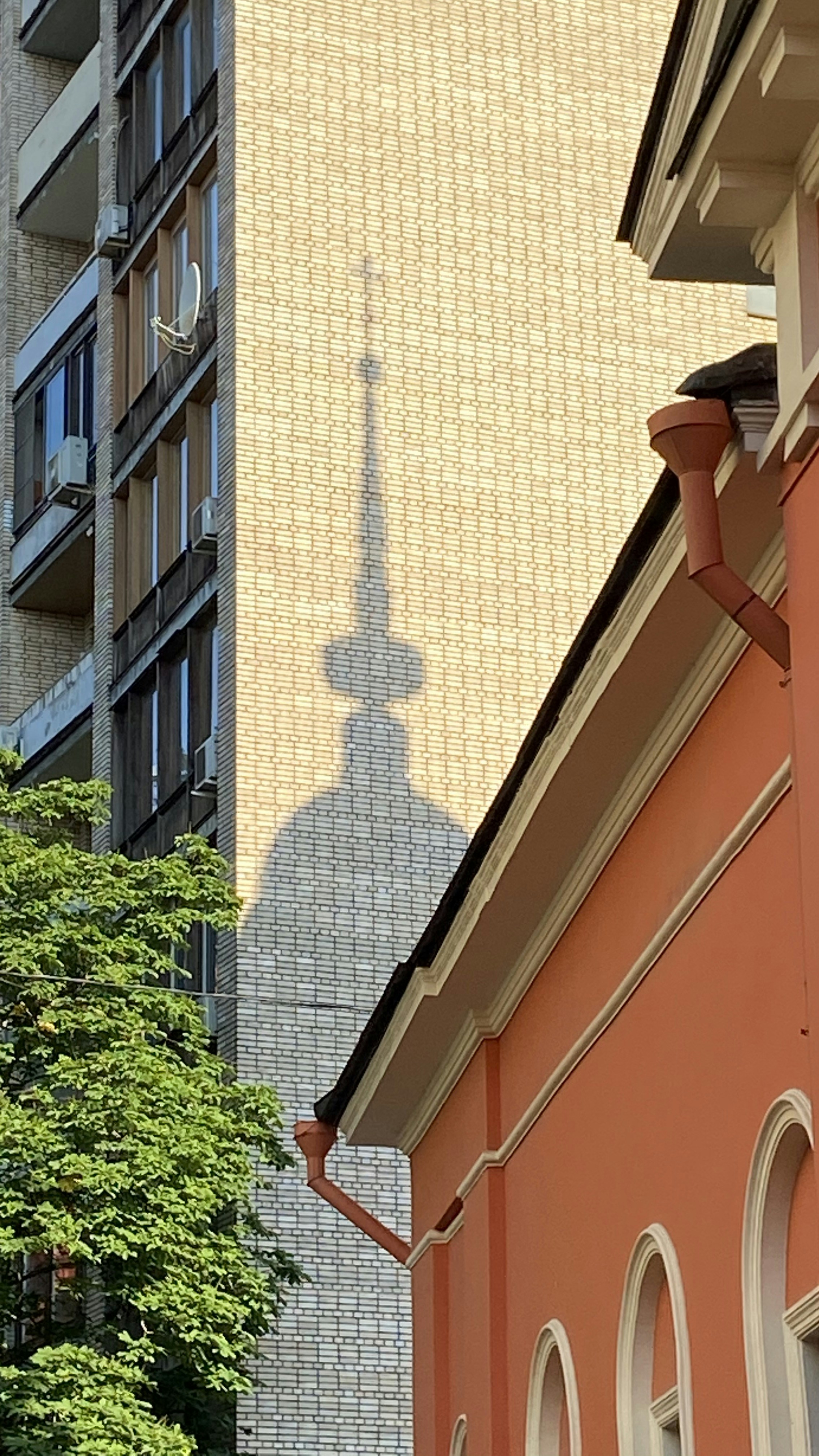 green plant beside brown concrete building