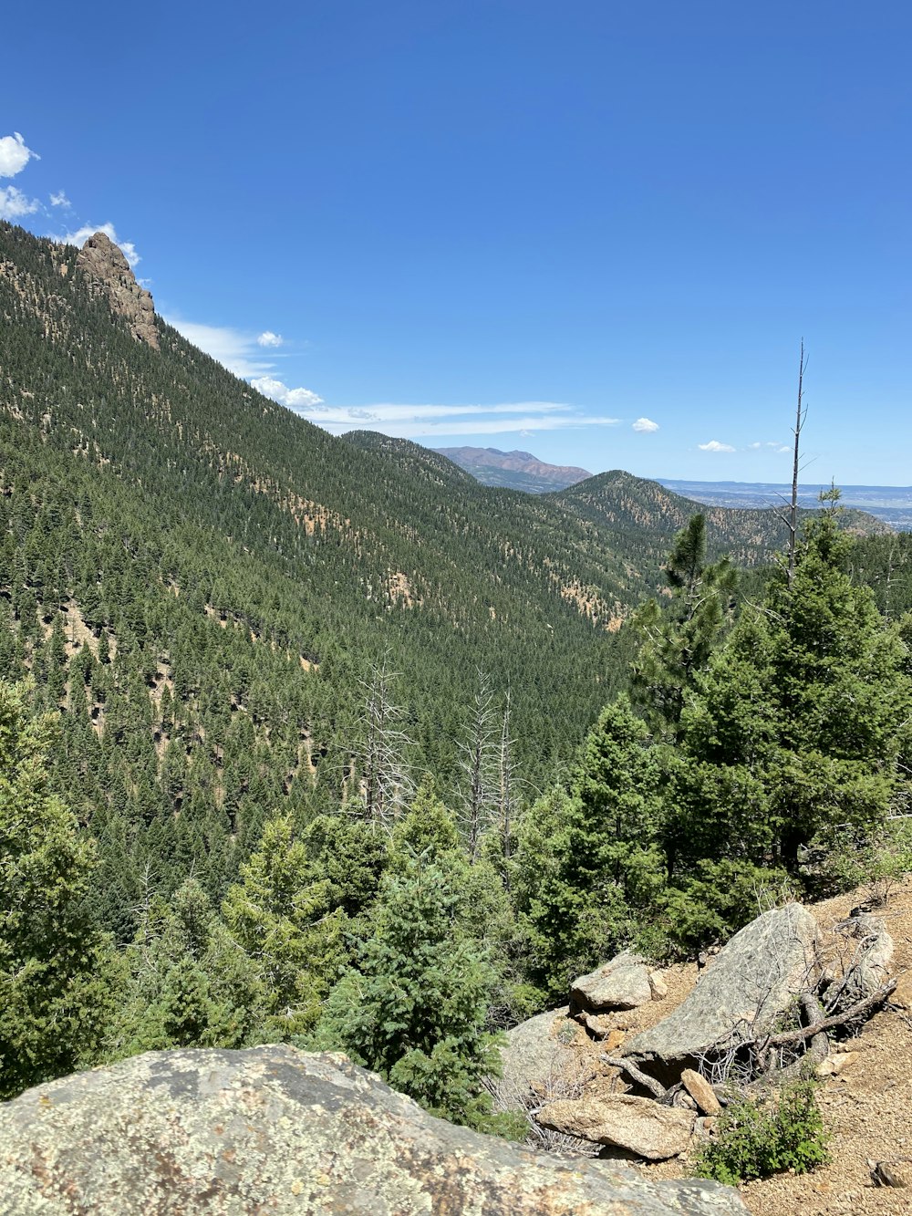 alberi verdi sulla montagna sotto il cielo blu durante il giorno