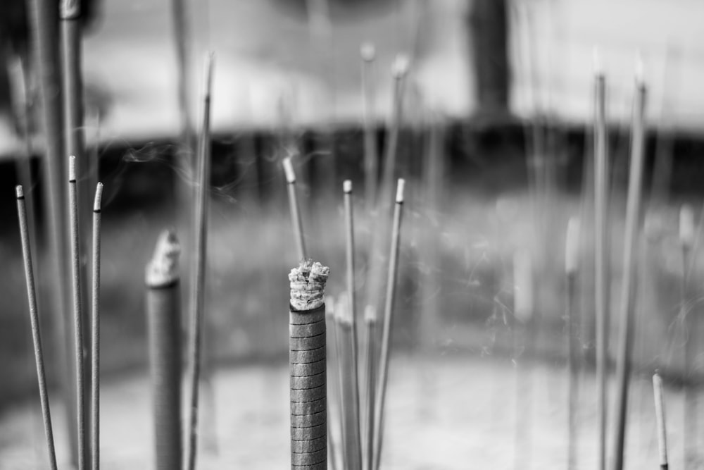 grayscale photo of water droplets on stick
