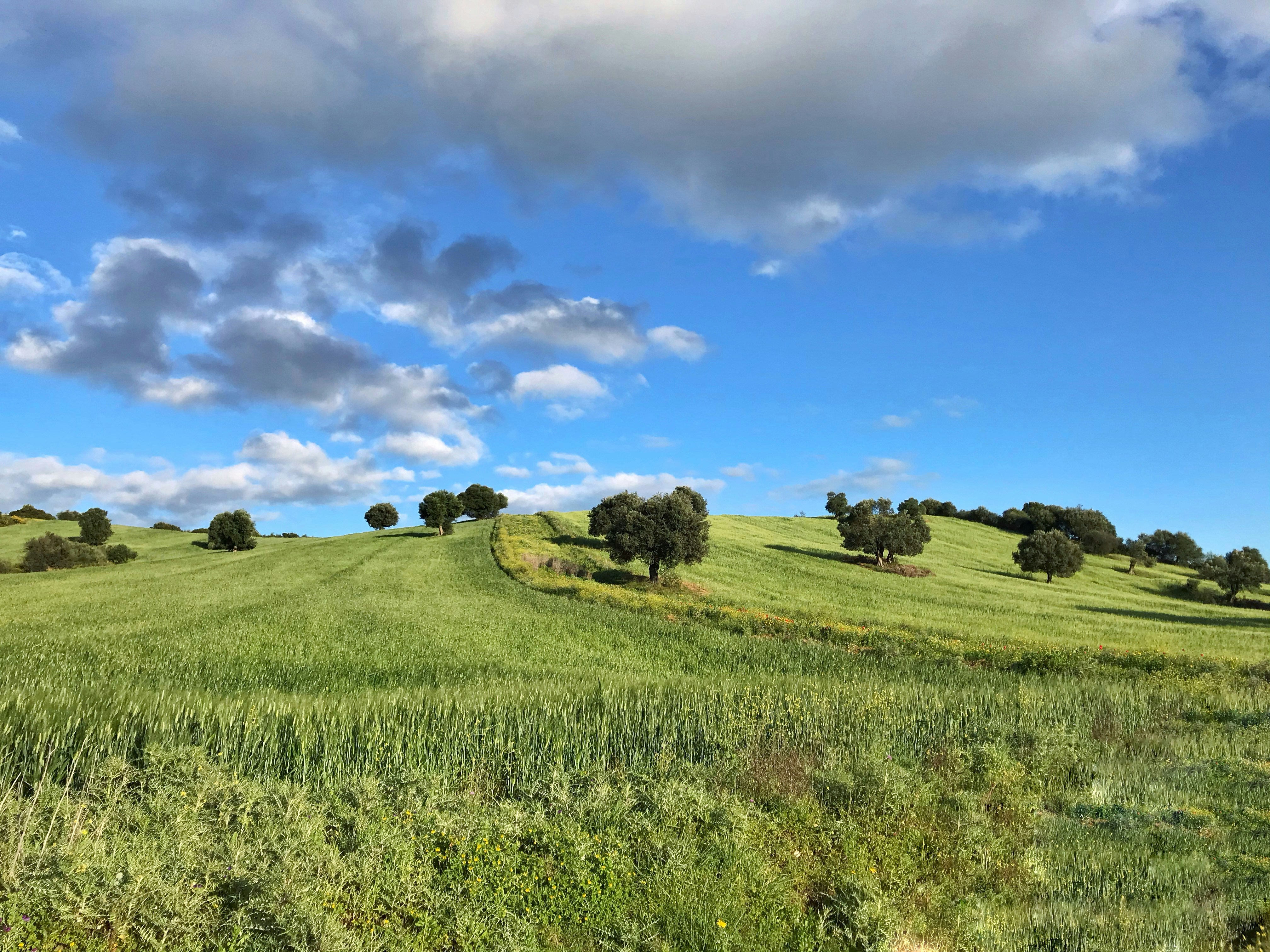 Photo by hamzabdrahman