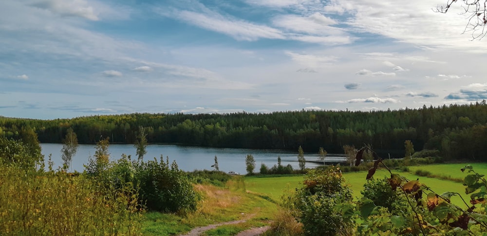 green grass field near lake under blue sky during daytime