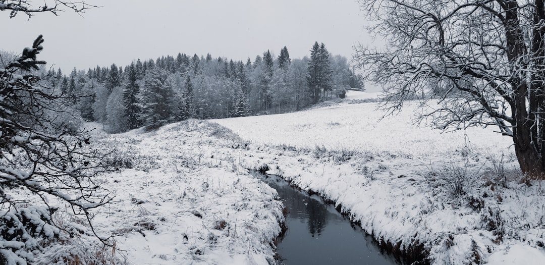 River photo spot Årjäng Sweden