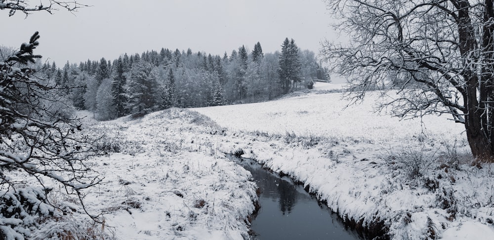 snow covered field and trees beside river during daytime
