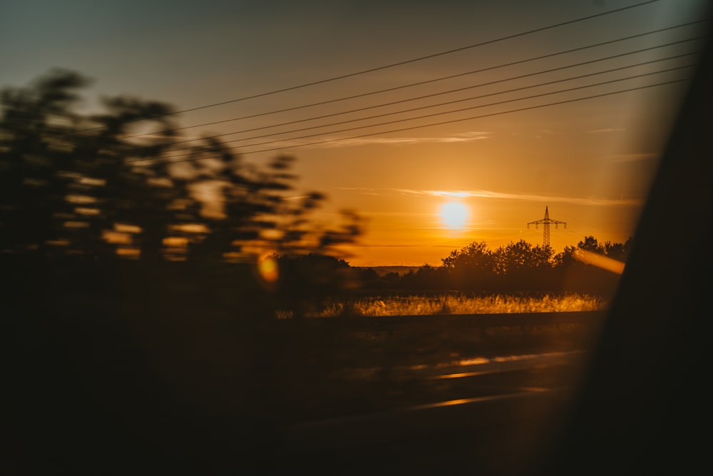 trees beside road during sunset