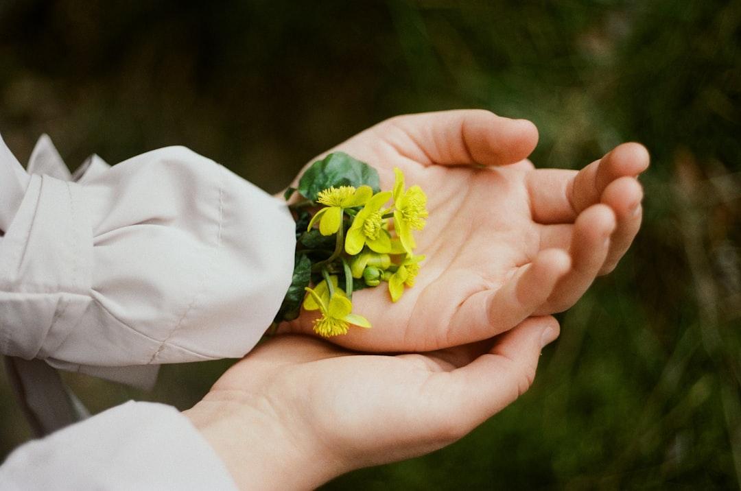 person holding white and yellow flower