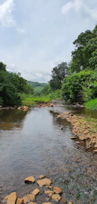 A serene landscape showing a clean river flowing through a forested area.