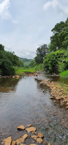 A serene landscape showing a clean river flowing through a forested area.