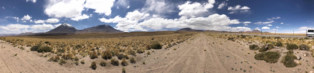 brown field under blue sky during daytime