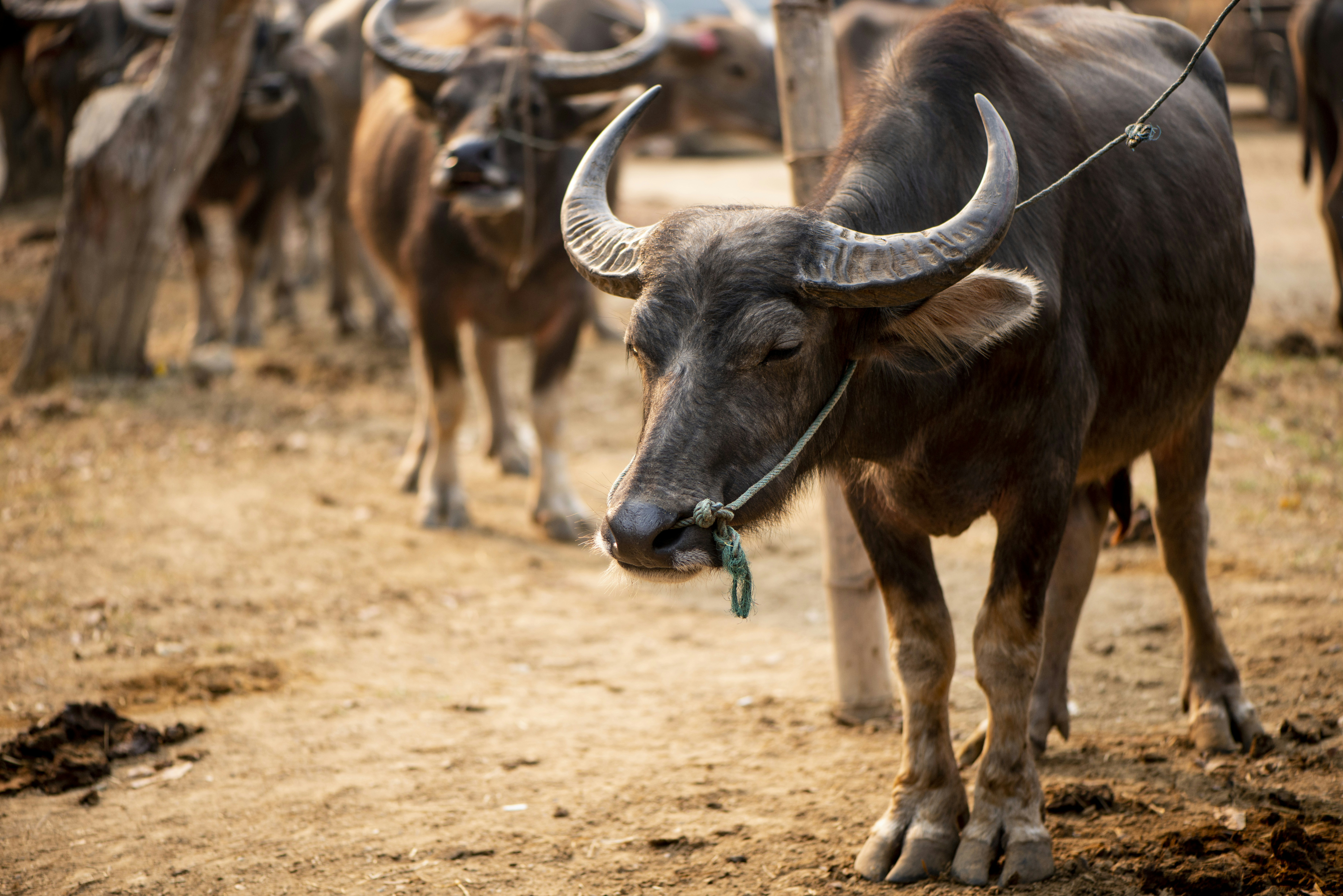 Photo by photographycoursenet