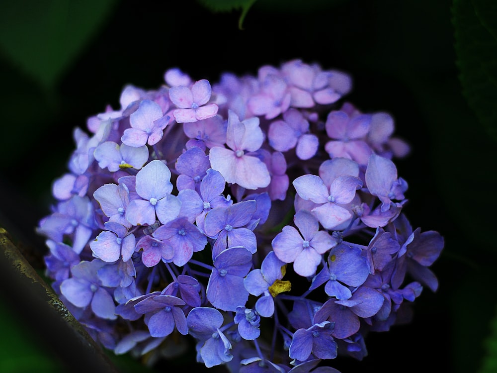 purple flowers in green ceramic vase