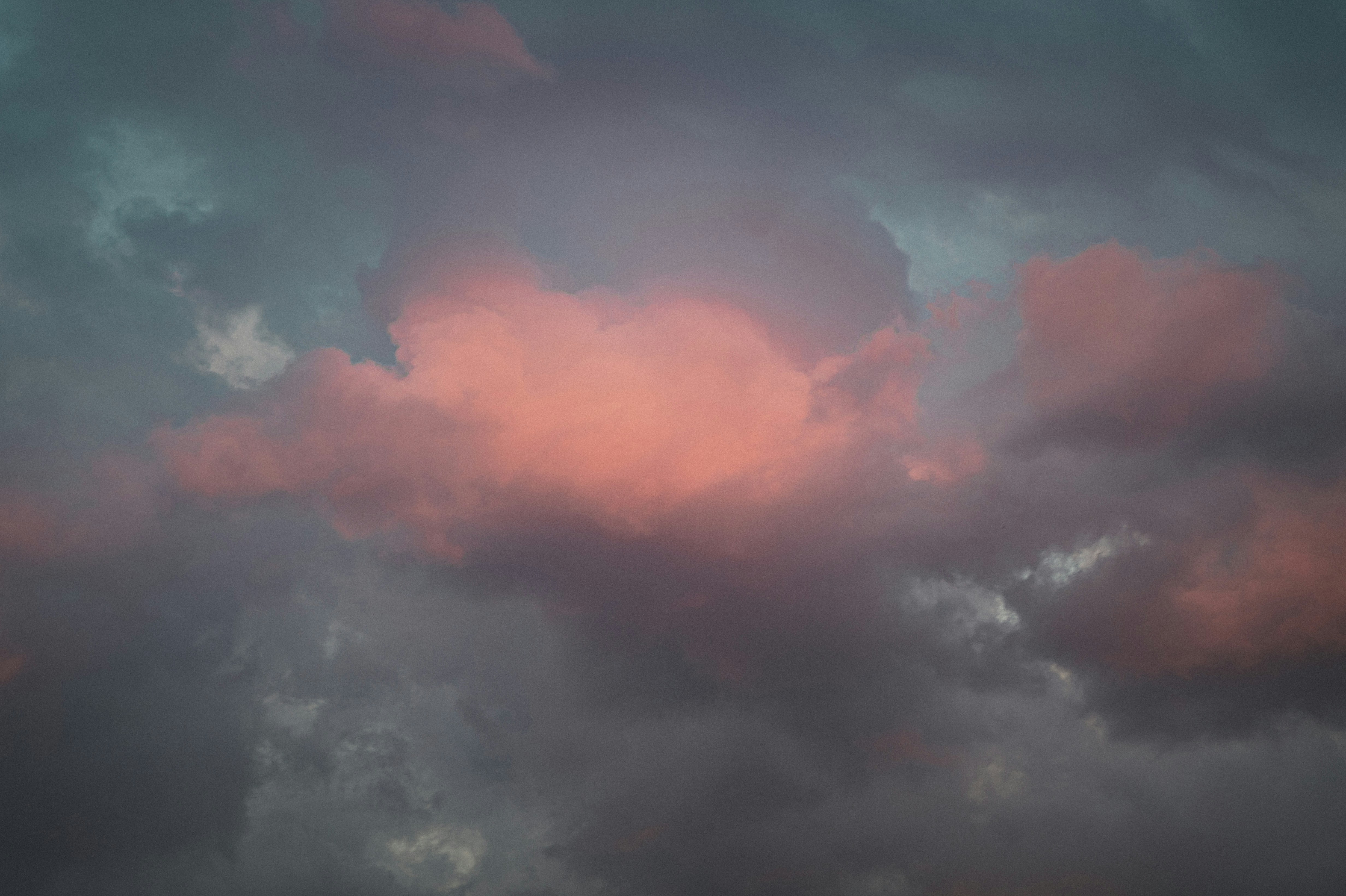 Photo by vonshnauzer