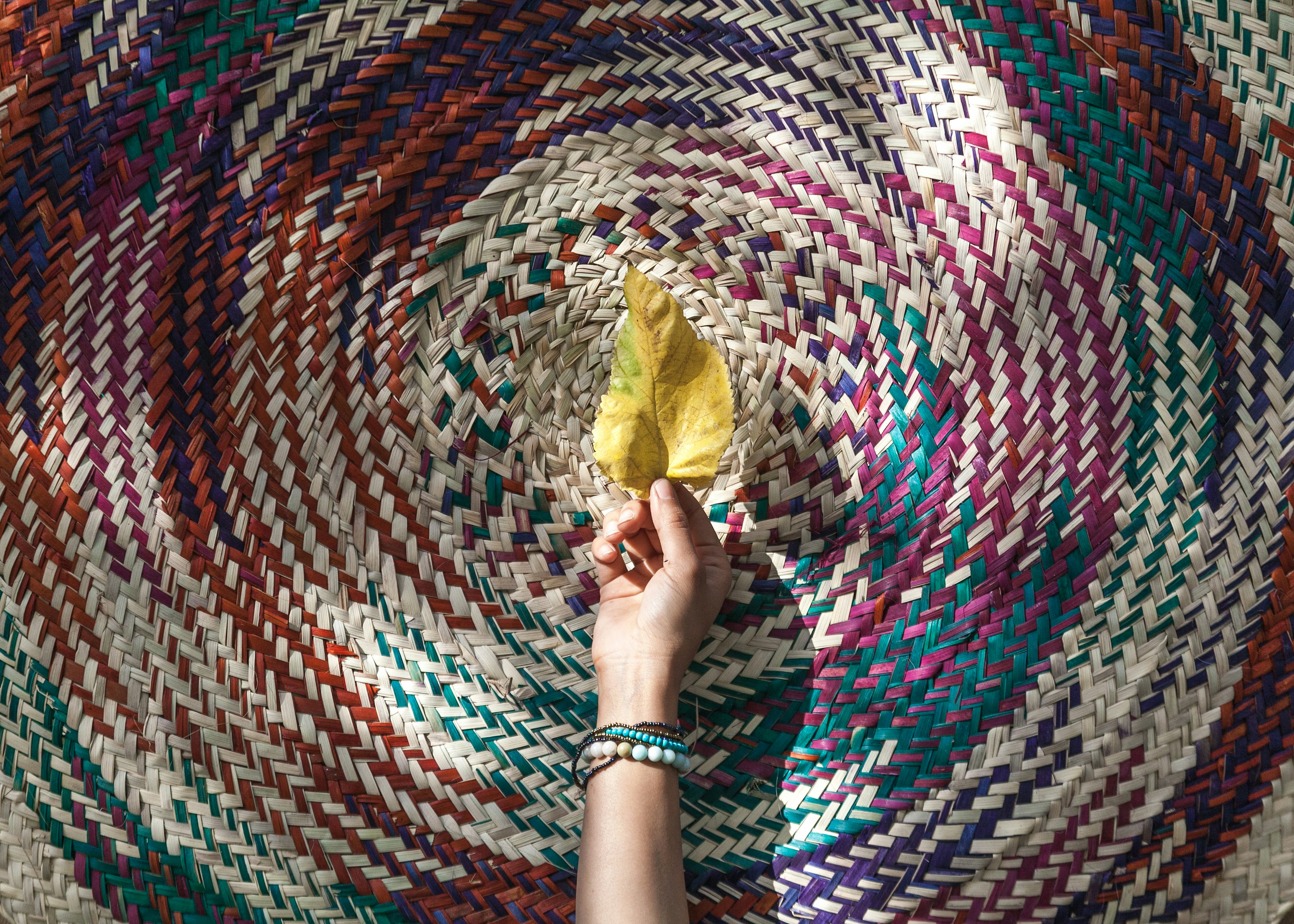 person holding yellow and brown bread