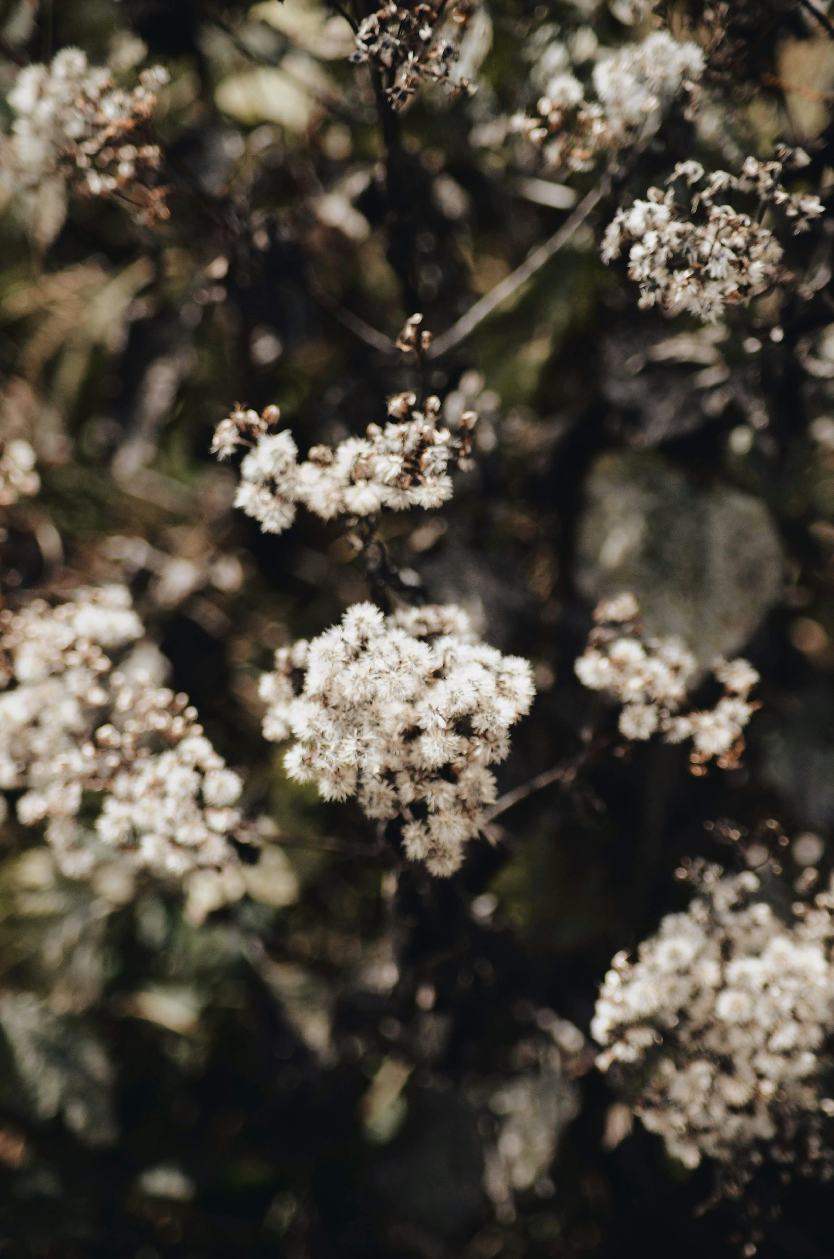 Photo by tabithaturnervisuals