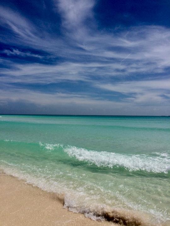 blue sea under blue sky during daytime in Cayo Largo del Sur Cuba