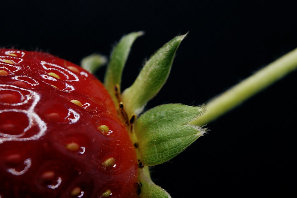 red strawberry with water droplets