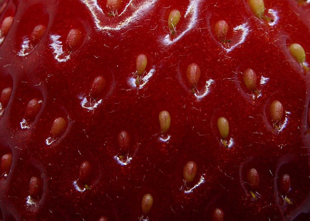 photo en gros plan de fraises rouges
