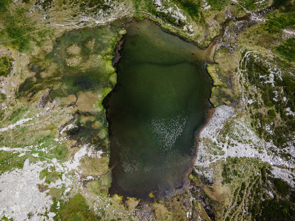 aerial view of green and brown water