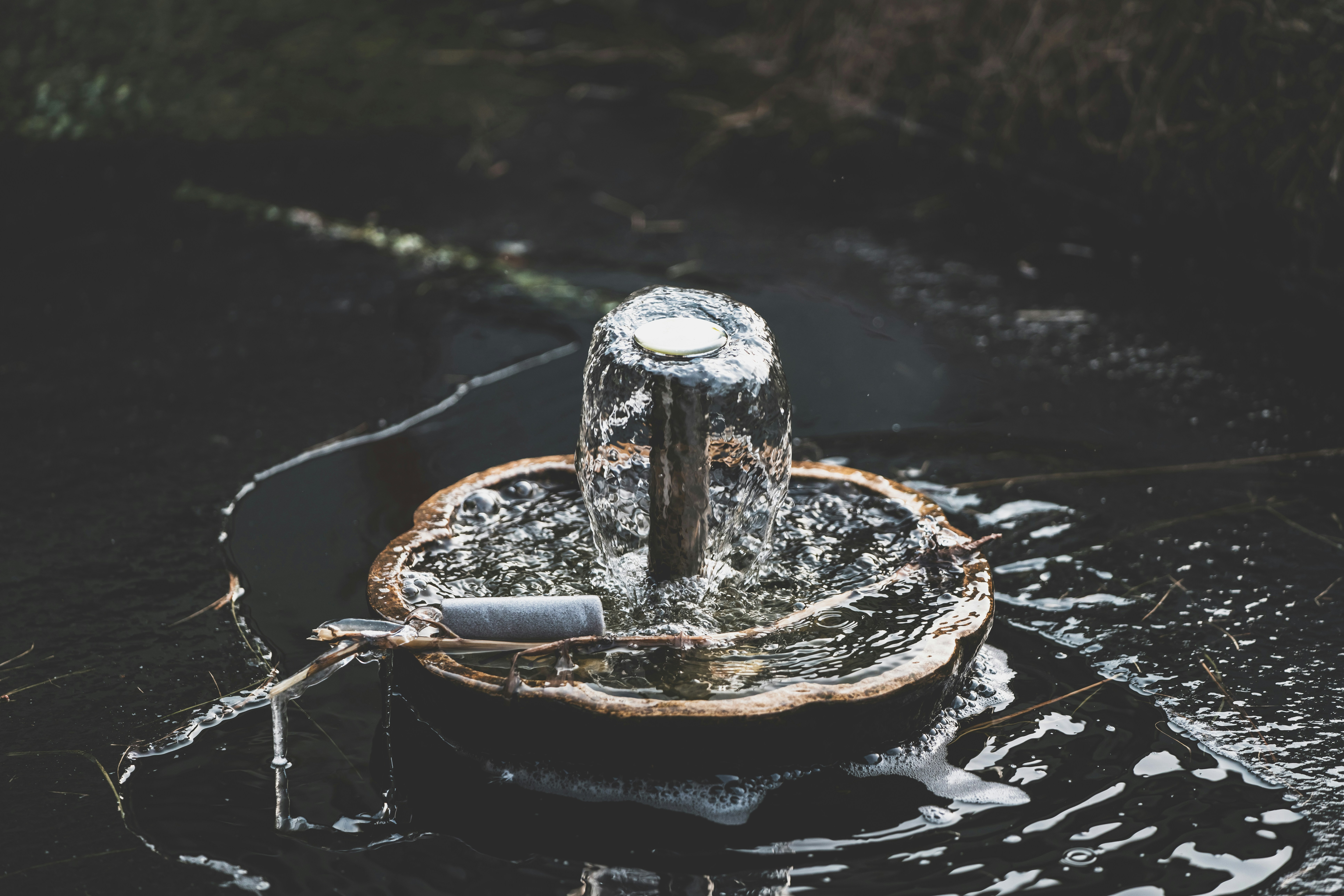 Frozen fountain spraying water in icy pool