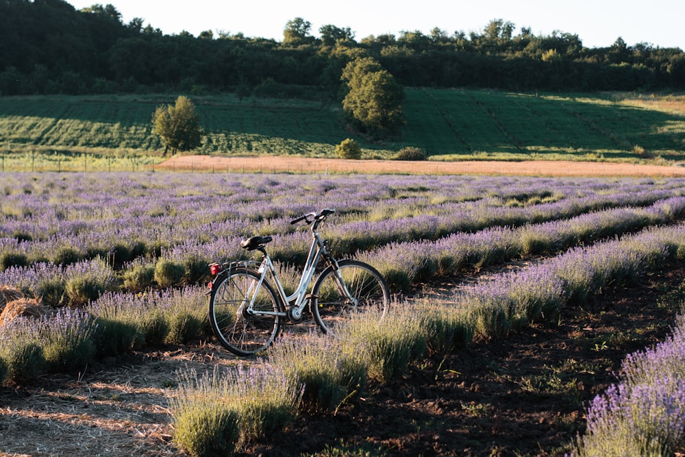 black and white bicycle on green grass field during daytime