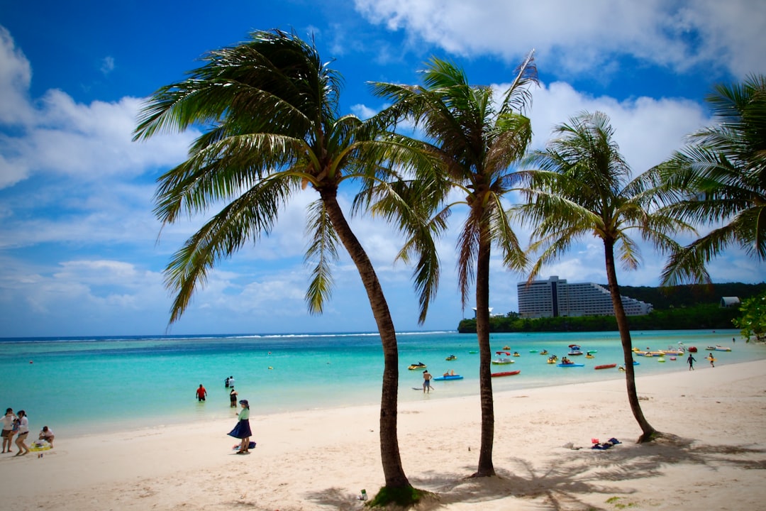 man in black shirt sitting on white sand near palm tree during daytime