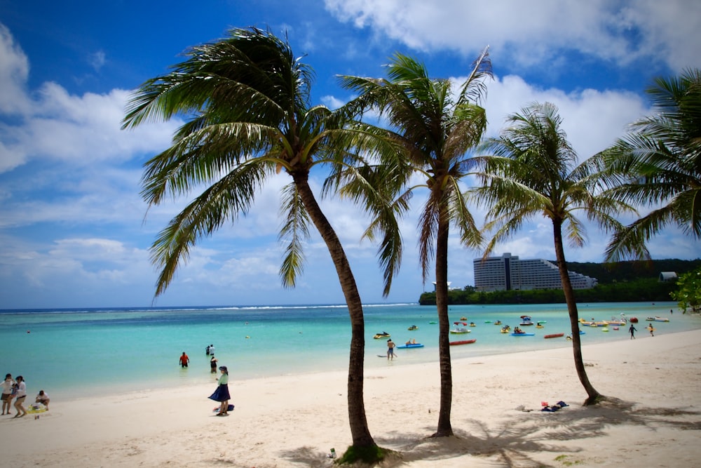 man in black shirt sitting on white sand near palm tree during daytime