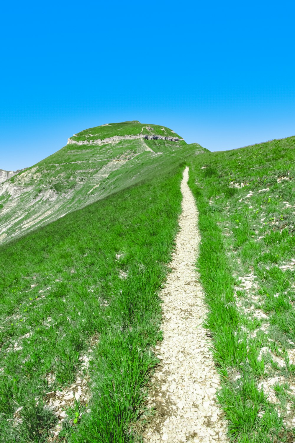 green grass field under blue sky during daytime