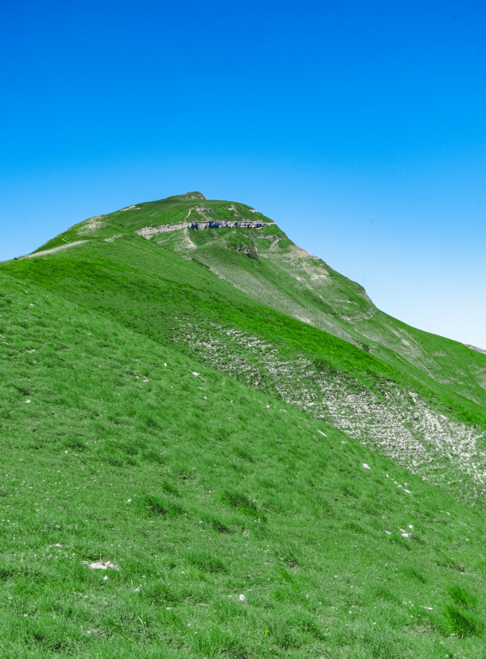 campo de grama verde sob o céu azul durante o dia