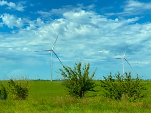 Two large wind turbines stand prominently in a green field, surrounded by sparse shrubs. The sky above is partly cloudy, with patches of blue visible through the clouds.