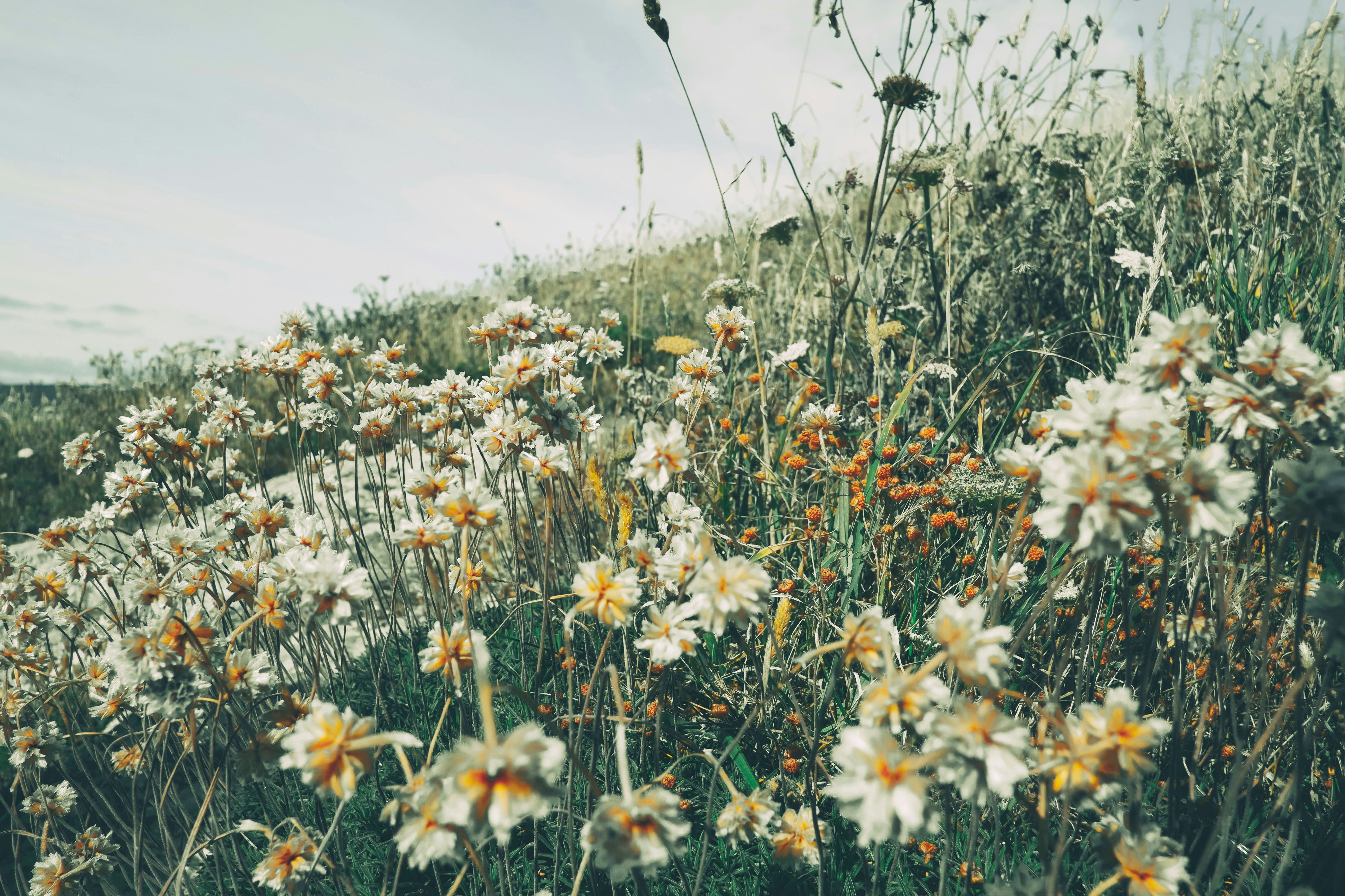 Photo by aperturevintage