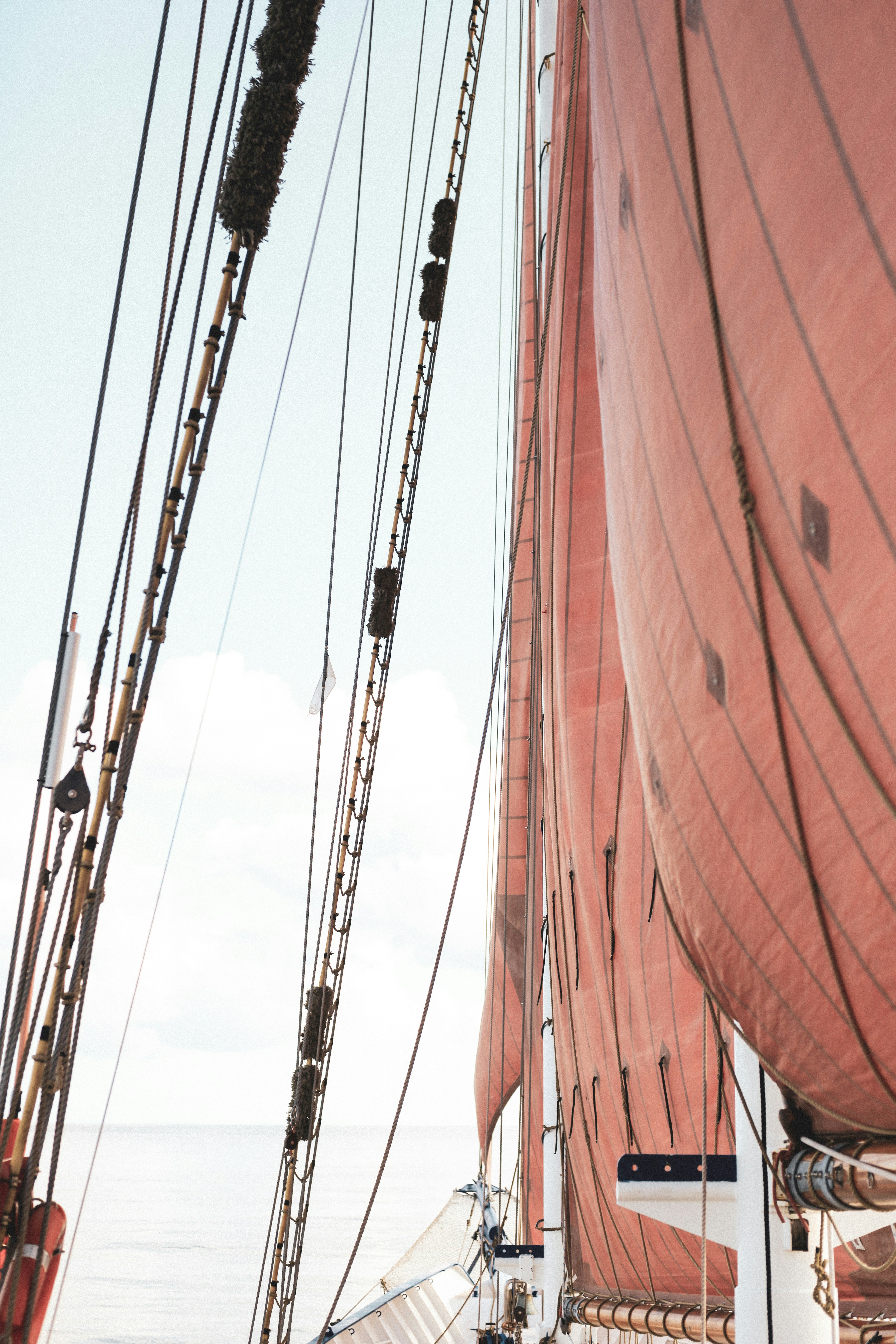 canna da pesca marrone e nera