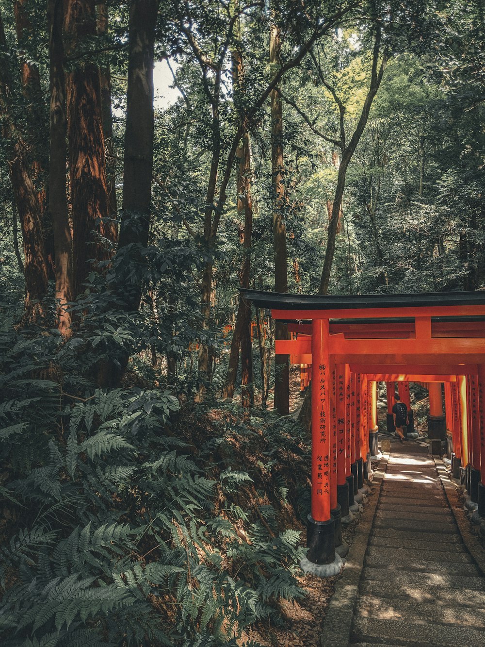 brown wooden bridge in the woods