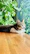 A content tabby cat lounging on a cozy windowsill surrounded by indoor plants.