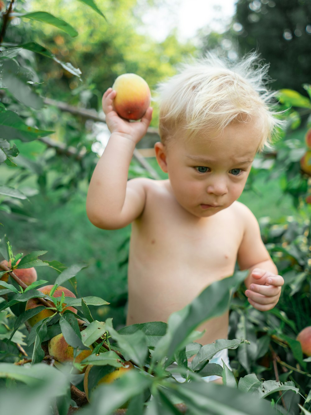 topless baby holding yellow round fruit