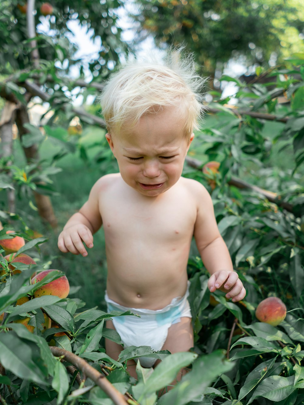 topless child in white and blue shorts standing on red flower field during daytime
