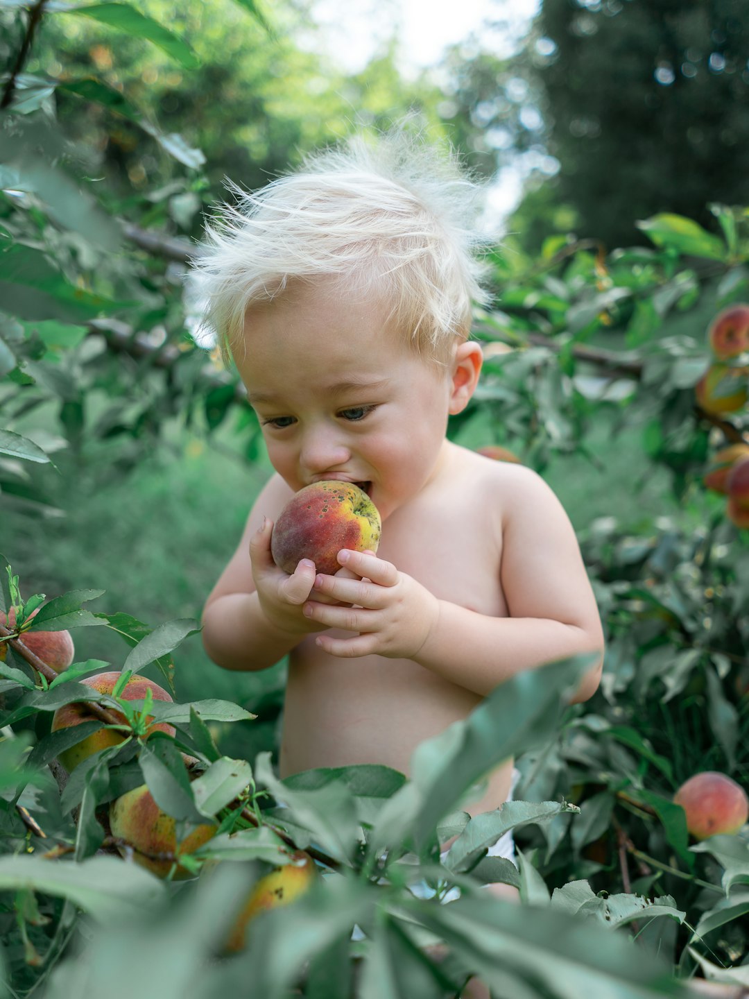 topless boy holding apple during daytime