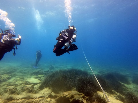 Several scuba divers are exploring an underwater seascape with sandy and rocky terrain. They are surrounded by clear blue water, and one diver appears to be following a rope laid out on the ocean floor.