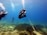 Several scuba divers are exploring an underwater seascape with sandy and rocky terrain. They are surrounded by clear blue water, and one diver appears to be following a rope laid out on the ocean floor.