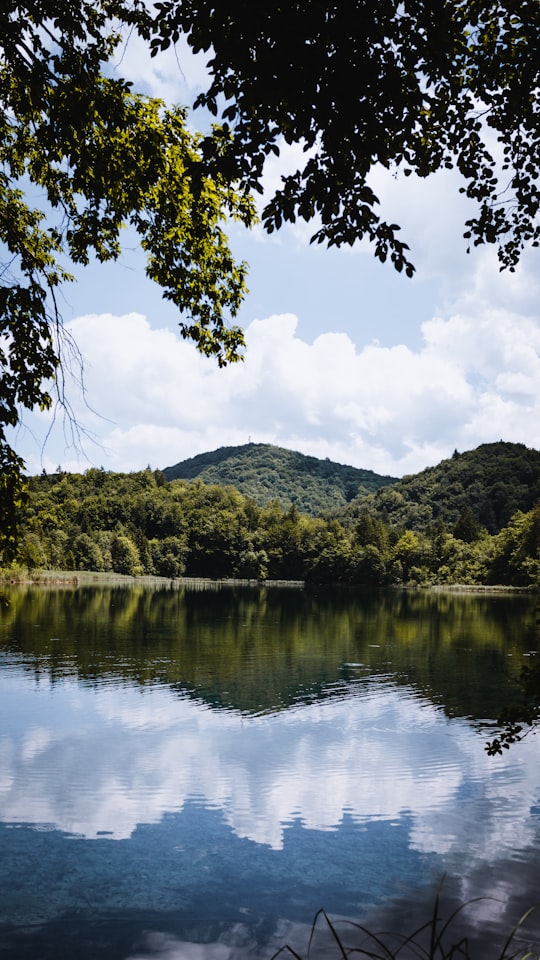 green trees near lake under white clouds and blue sky during daytime in Plitvicer Seen Nationalpark Croatia