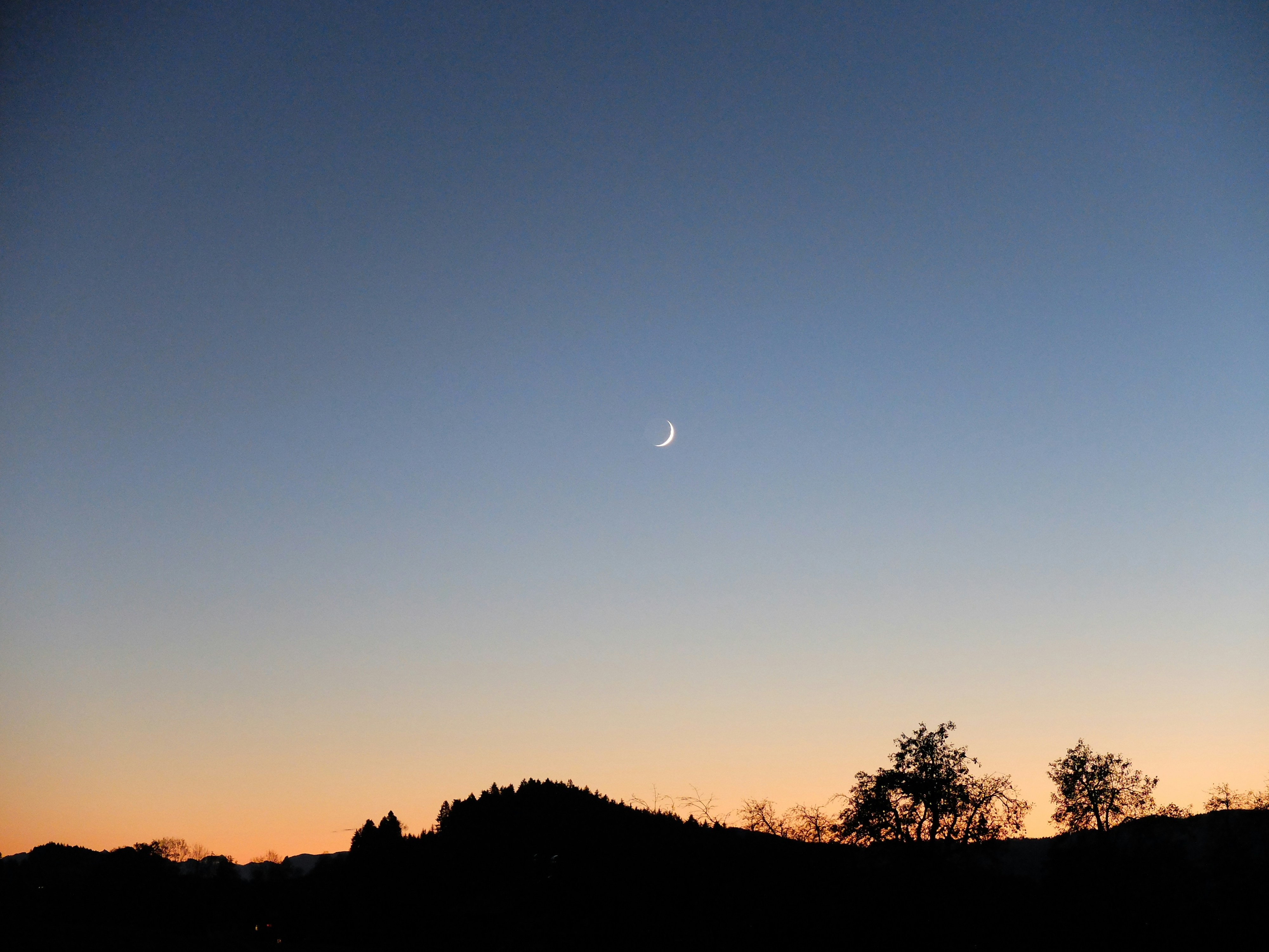 Photo by anton_konstantinov